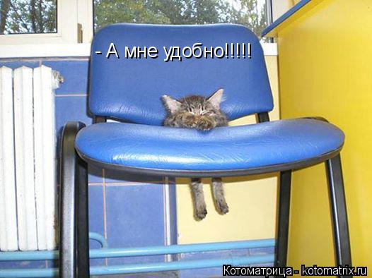 Котоматрица: - А мне удобно!!!!!