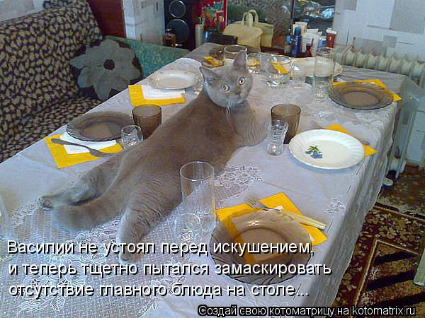 Котоматрица: Василий не устоял перед искушением, и теперь тщетно пытался замаскировать отсутствие главного блюда на столе...