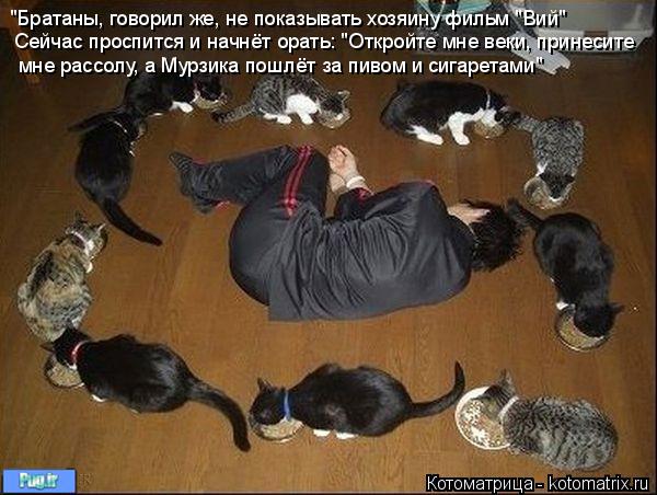 Котоматрица: "Братаны, говорил же, не показывать хозяину фильм "Вий" Сейчас проспится и начнёт орать: "Откройте мне веки, принесите мне рассолу, а Мурзика 
