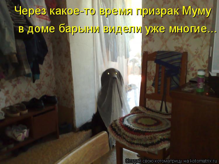 Через какое-то время призрак Муму в доме барыни видели уже многие...... Котоматрица: Через какое-то время призрак Муму в доме барыни видели уже многие...