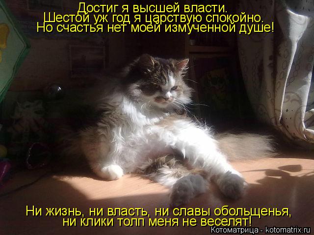 Котоматрица: Достиг я высшей власти. Шестой уж год я царствую спокойно. Но счастья нет моей измученной душе! Ни жизнь, ни власть, ни славы обольщенья, ни к