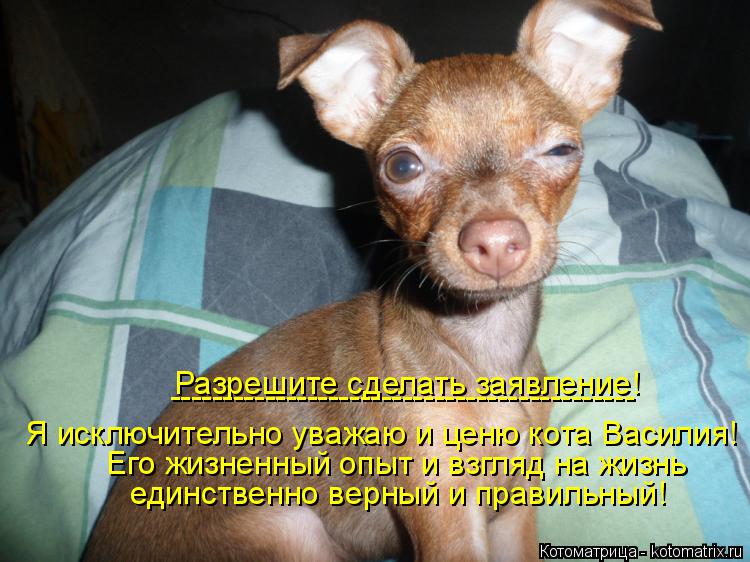 Котоматрица: Разрешите сделать заявление! Я исключительно уважаю и ценю кота Василия! Его жизненный опыт и взгляд на жизнь единственно верный и правиль