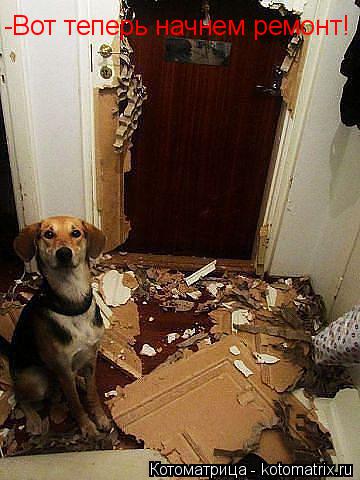 Котоматрица: -Вот теперь начнем ремонт!