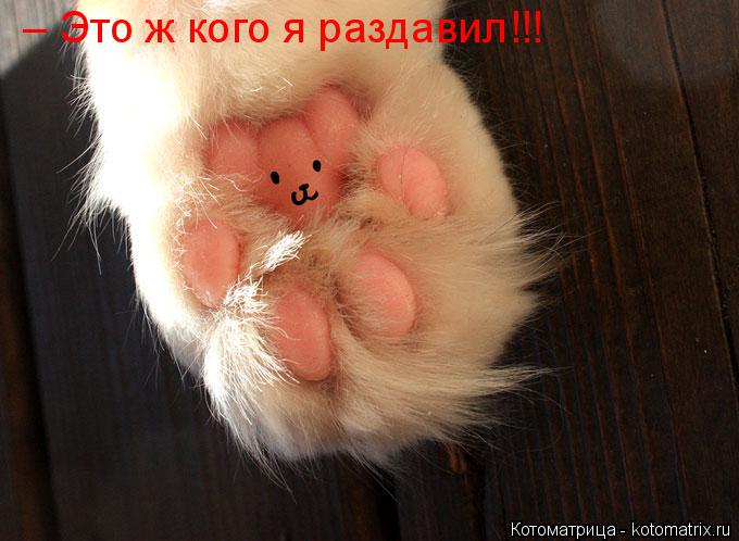 Котоматрица: – Это ж кого я раздавил!!!