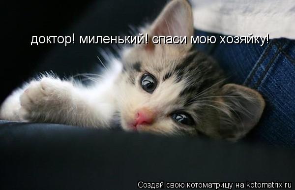Котоматрица: доктор! миленький! спаси мою хозяйку!