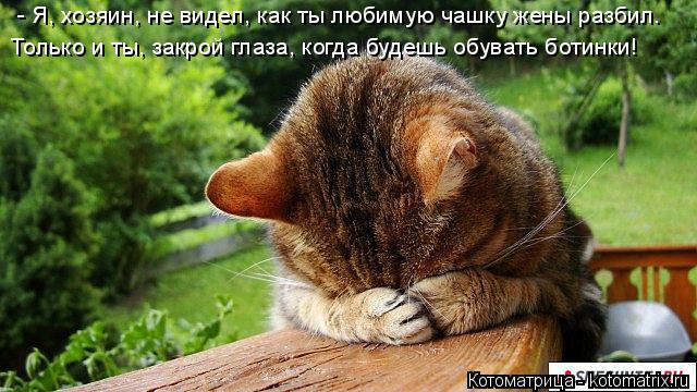 - Я, хозяин, не видел, как ты любимую чашку жены разбил. Только и ты, закрой глаза, когда будешь обув... Котоматрица: - Я, хозяин, не видел, как ты любимую чашку жены разбил. Только и ты, закрой глаза, когда будешь обувать ботинки!