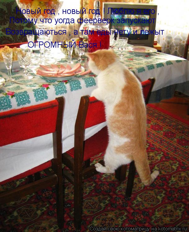 Котоматрица: Новый год , новый год ! Люблю я его , Потому что уогда феерверк запускают Возвращаються , а там еды нету и лежыт ОГРОМНЫЙ Вася !
