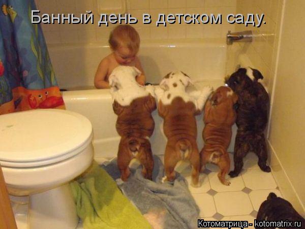 Котоматрица: Банный день в детском саду.