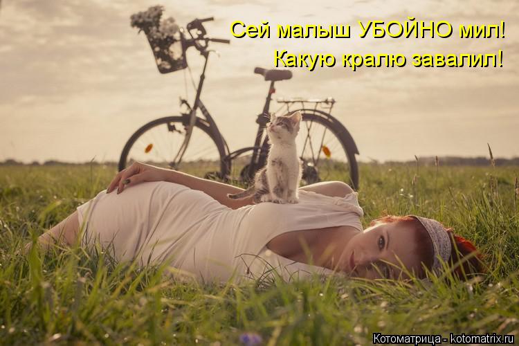 Котоматрица: Сей малыш УБОЙНО мил! Какую кралю завалил!