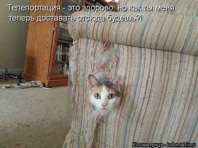 Телепортация - это здорово, но как ты меня теперь доставать отсюда будешь?!... Котоматрица: Телепортация - это здорово, но как ты меня теперь доставать отсюда будешь?!
