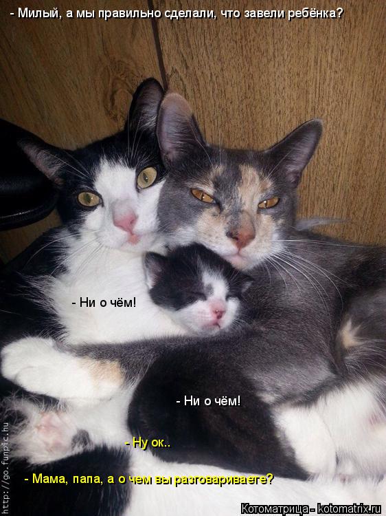 Котоматрица: - Милый, а мы правильно сделали, что завели ребёнка? - Мама, папа, а о чем вы разговариваете? - Ни о чём! - Ни о чём! - Ну ок..