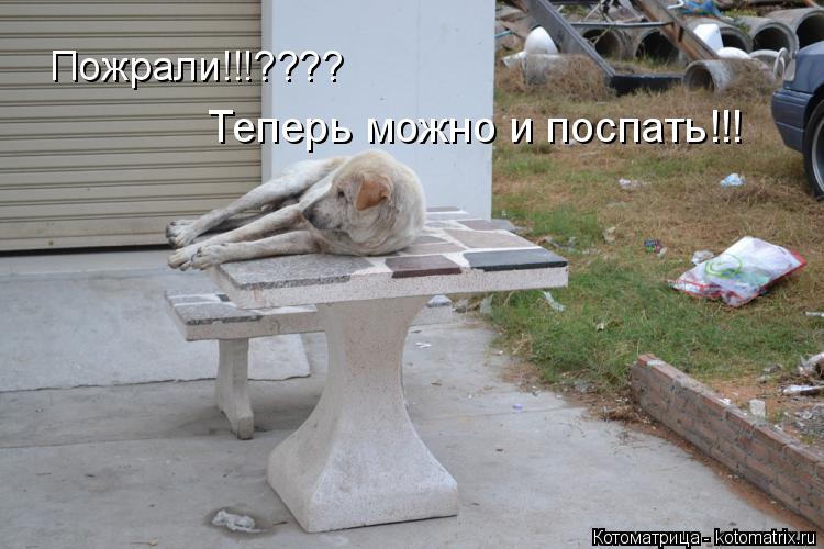 Пожрали!!!???? Теперь можно и поспать!!!... Котоматрица: Пожрали!!!???? Теперь можно и поспать!!!