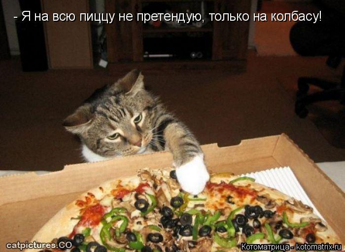 Котоматрица: - Я на всю пиццу не претендую, только на колбасу!