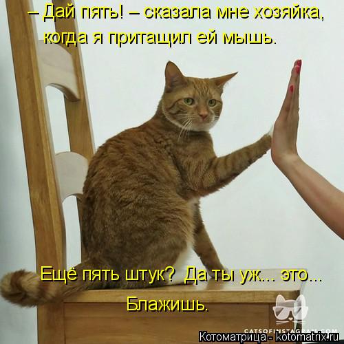 – Дай пять! – сказала мне хозяйка, когда я притащил ей мышь. Ещё пять штук? Да ты уж... это... Блажи... Котоматрица: – Дай пять! – сказала мне хозяйка, когда я притащил ей мышь. Ещё пять штук? Да ты уж... это... Блажишь.