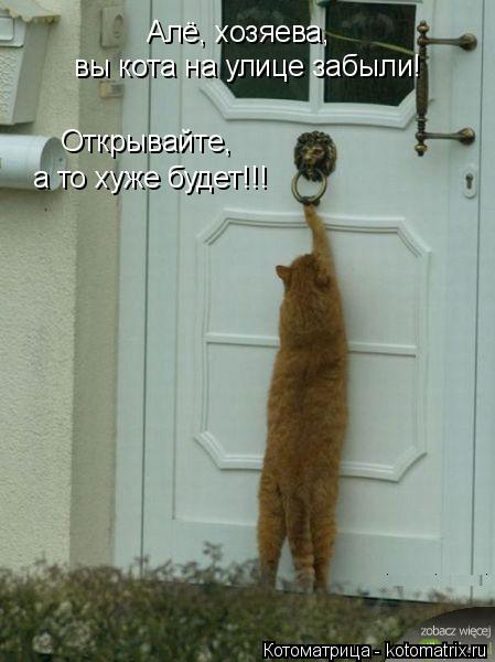 Котоматрица: Алё, хозяева,  вы кота на улице забыли! Открывайте,  а то хуже будет!!!
