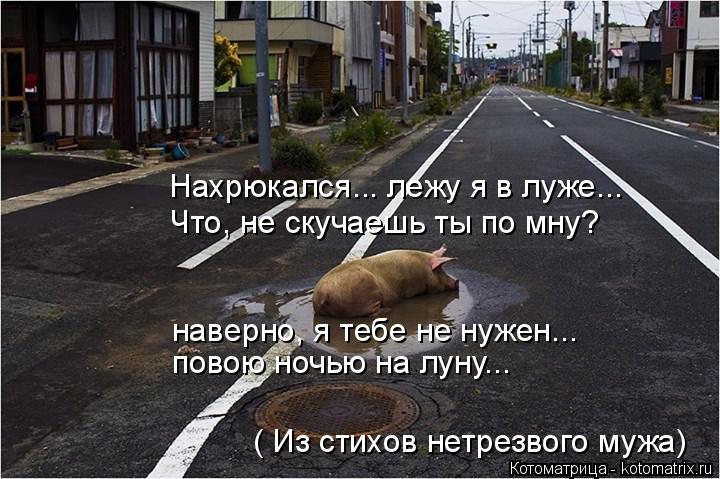 Котоматрица: Нахрюкался... лежу я в луже...  наверно, я тебе не нужен...  повою ночью на луну... ( Из стихов нетрезвого мужа) Что, не скучаешь ты по мну?
