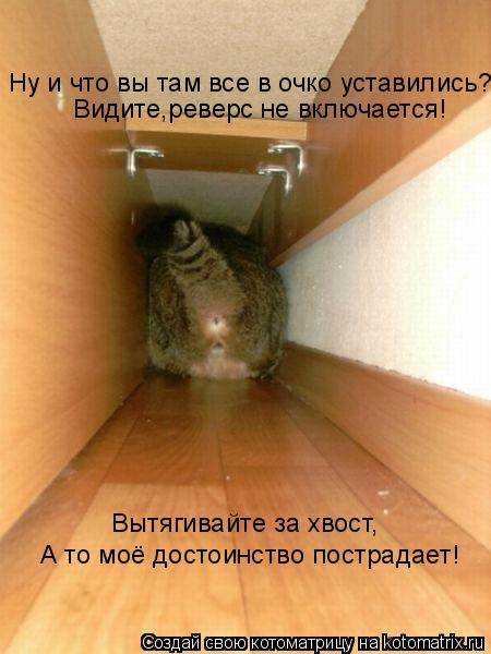 Котоматрица: Ну и что вы там все в очко уставились? Видите,реверс не включается! Вытягивайте за хвост, А то моё достоинство пострадает!