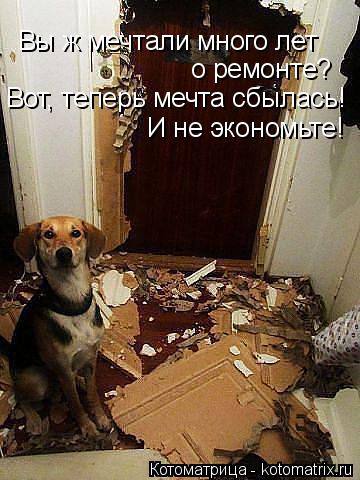Вы ж мечтали много лет о ремонте? Вот, теперь мечта сбылась! И не экономьте!... Котоматрица: Вы ж мечтали много лет о ремонте? Вот, теперь мечта сбылась! И не экономьте!