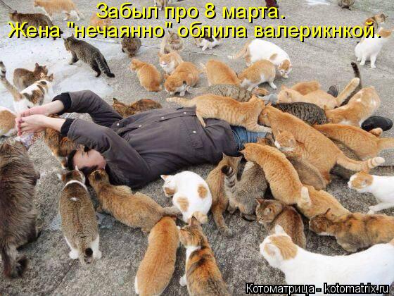 Котоматрица: Забыл про 8 марта. Жена "нечаянно" облила валерикнкой.
