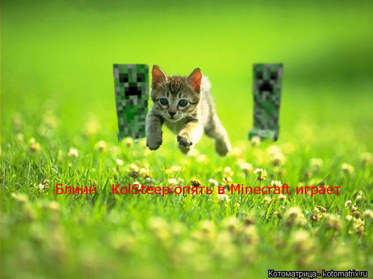 Котоматрица: Блиин   KolSteep опять в Minecraft играет