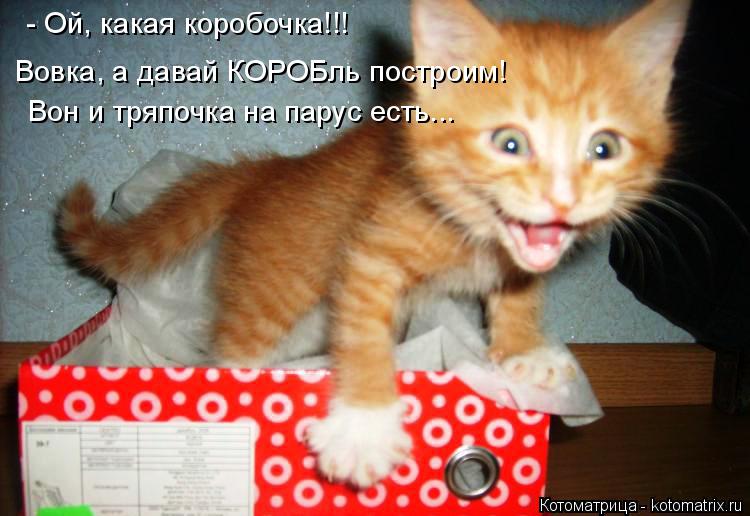 Котоматрица: Вовка, а давай КОРОБль построим! Вон и тряпочка на парус есть... - Ой, какая коробочка!!!