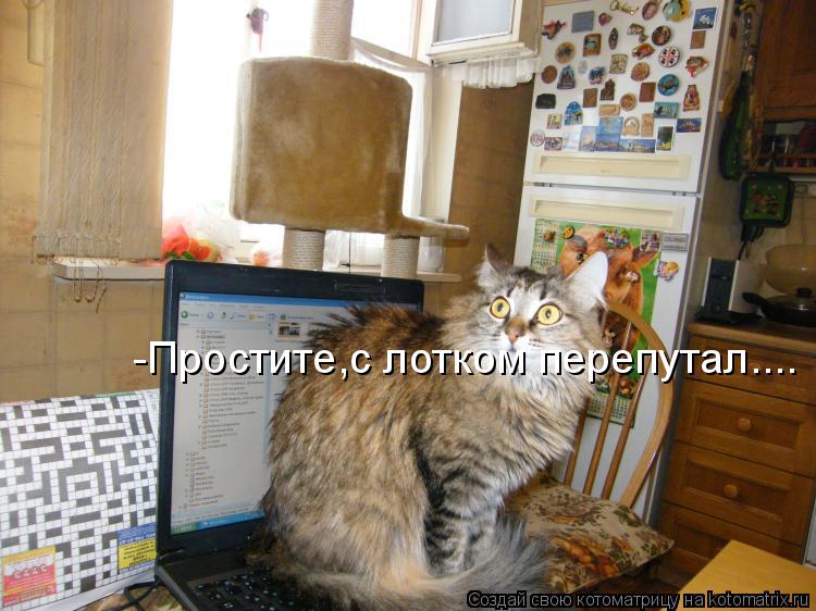 Котоматрица: -Простите,с лотком перепутал....