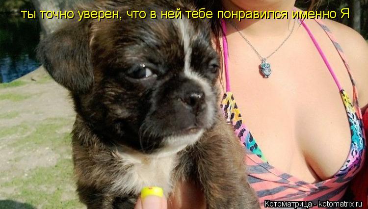 Котоматрица: ты точно уверен, что в ней тебе понравился именно Я