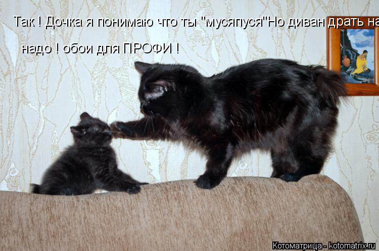 Котоматрица: Так ! Дочка я понимаю что ты "мусяпуся"Но диван драть надо ! обои для ПРОФИ !  надо ! обои для ПРОФИ !
