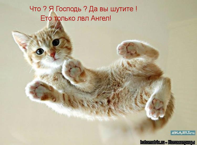 Котоматрица: Что ? Я Господь ? Да вы шутите ! Ето только лвл Ангел!