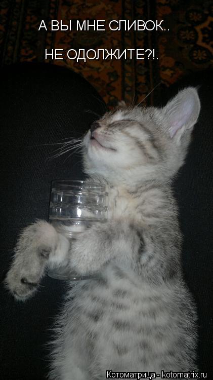 Котоматрица: А ВЫ МНЕ СЛИВОК.. НЕ ОДОЛЖИТЕ?!.