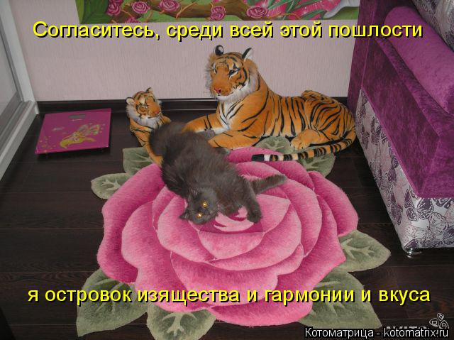 Котоматрица: Согласитесь, среди всей этой пошлости я островок изящества и гармонии и вкуса