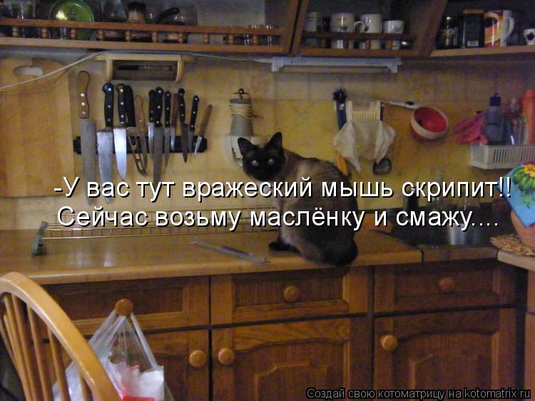 Котоматрица: -У вас тут вражеский мышь скрипит!! Сейчас возьму маслёнку и смажу....