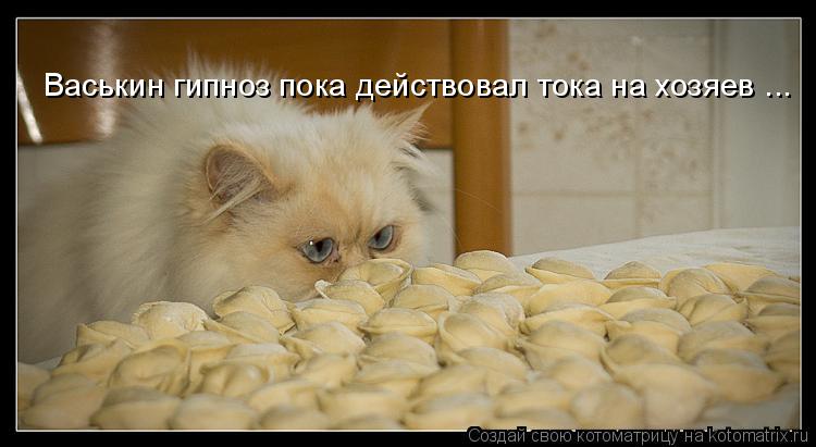 Котоматрица: Васькин гипноз пока действовал тока на хозяев ...