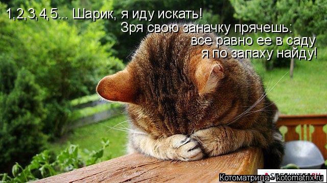 1,2,3,4,5... Шарик, я иду искать! Зря свою заначку прячешь: все равно ее в саду я по запаху найду!... Котоматрица: 1,2,3,4,5... Шарик, я иду искать! Зря свою заначку прячешь: все равно ее в саду я по запаху найду!