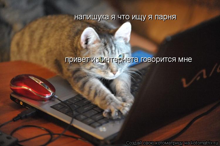 напишука я что ищу я парня привет из интернета говорится мне... Котоматрица: напишука я что ищу я парня привет из интернета говорится мне