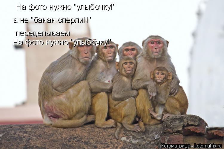 На фото нужно "улыбочку!" На фото нужно "улыбочку!" а не "банан спёрли!!" переделываем... Котоматрица: На фото нужно "улыбочку!" На фото нужно "улыбочку!" а не "банан спёрли!!" переделываем