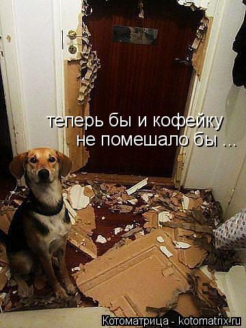 теперь бы и кофейку не помешало бы ...... Котоматрица: теперь бы и кофейку не помешало бы ...