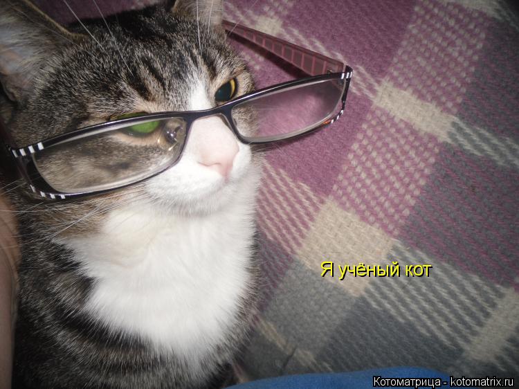 Я учёный кот... Котоматрица: Я учёный кот