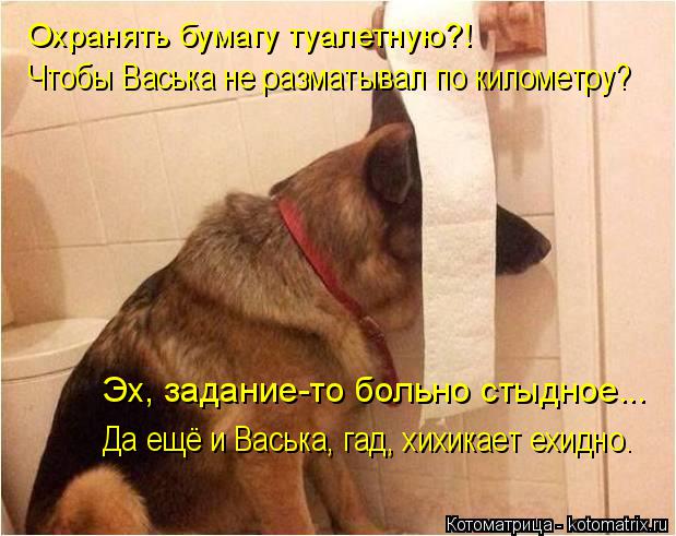 Котоматрица: Охранять бумагу туалетную?! Чтобы Васька не разматывал по километру? Эх, задание-то больно стыдное... Да ещё и Васька, гад, хихикает ехидно.