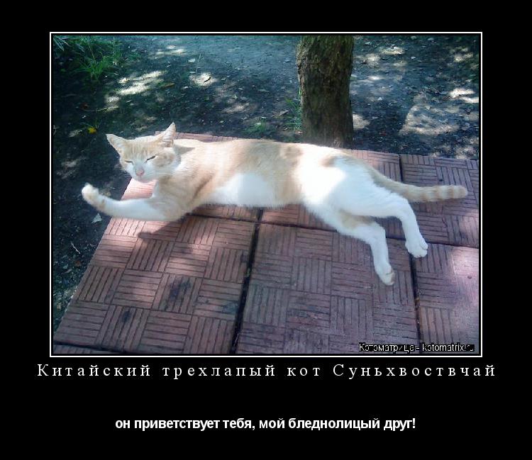Котоматрица: Китайский трехлапый кот Суньхвоствчай он приветствует тебя, мой бледнолицый друг!