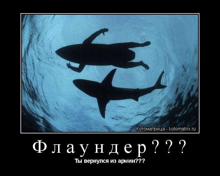 Котоматрица: Флаундер??? Ты вернулся из армии???