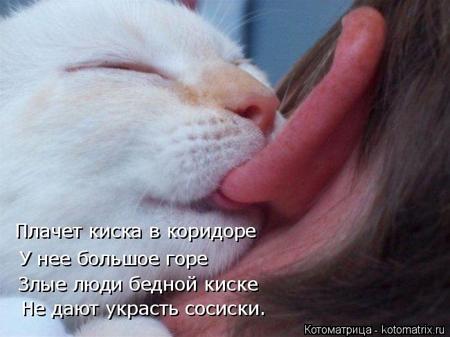 Плачет киска в коридоре У нее большое горе Злые люди бедной киске Не дают украсть сосиски.... Котоматрица: Плачет киска в коридоре У нее большое горе Злые люди бедной киске Не дают украсть сосиски.