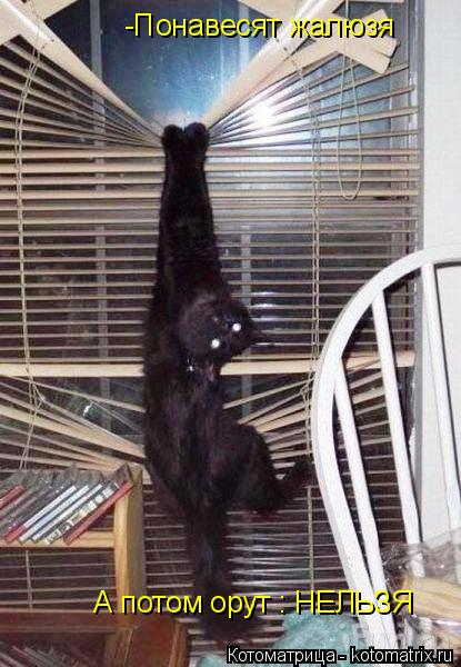 Котоматрица: -Понавесят жалюзя А потом орут : НЕЛЬЗЯ