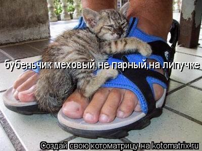 Котоматрица: бубеньчик меховый,не парный,на липучке