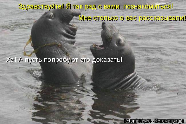 Котоматрица: Мне столько о вас рассказывали!  Здравствуйте! Я так рад с вами  познакомиться!  Ха! А пусть попробуют это доказать!