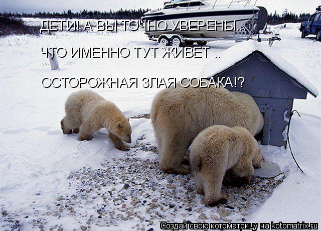 Котоматрица: ДЕТИ! А ВЫ ТОЧНО УВЕРЕНЫ... ЧТО ИМЕННО ТУТ ЖИВЕТ .. ОСТОРОЖНАЯ ЗЛАЯ СОБАКА!?