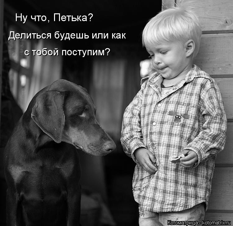 Котоматрица: Ну что, Петька? Делиться будешь или как  с тобой поступим?