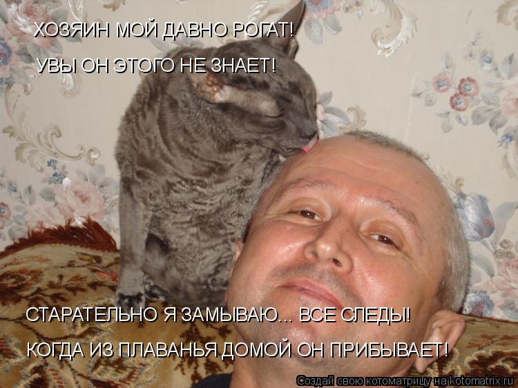 Котоматрица: ХОЗЯИН МОЙ ДАВНО РОГАТ! УВЫ ОН ЭТОГО НЕ ЗНАЕТ! СТАРАТЕЛЬНО Я ЗАМЫВАЮ... ВСЕ СЛЕДЫ! КОГДА ИЗ ПЛАВАНЬЯ ДОМОЙ ОН ПРИБЫВАЕТ!