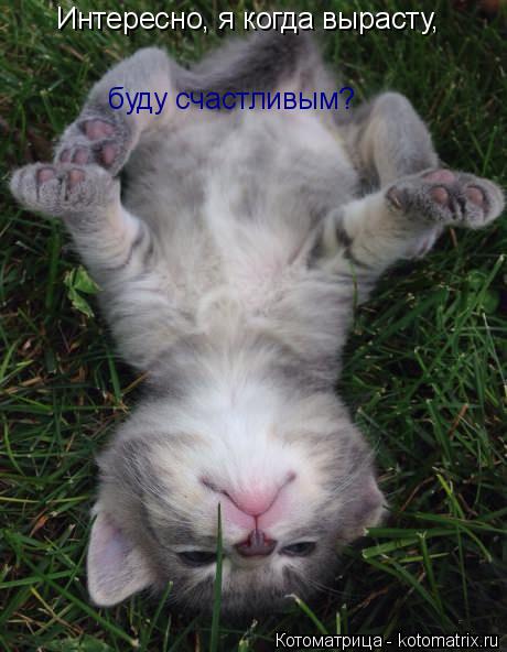 Котоматрица: Интересно, я когда вырасту,  буду счастливым?