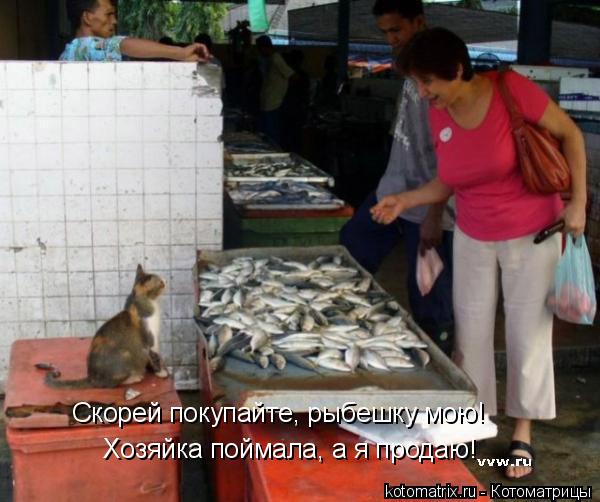 Котоматрица: Хозяйка поймала, а я продаю! Скорей покупайте, рыбешку мою!